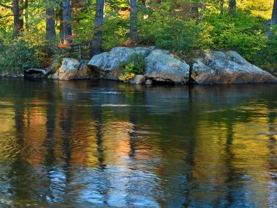 Moose River Reflections