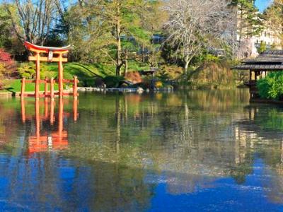 Japanese Pond-and-Hill Garden Panorama