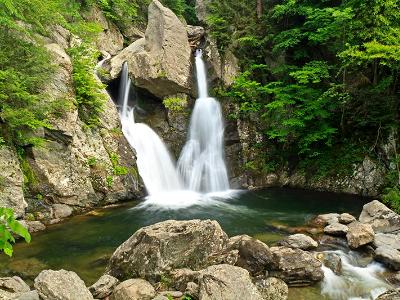 Bash Bish Green Pool