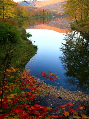 Big Pond Autumn Paradaise