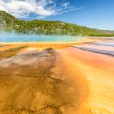 Vivid Colors of Grand Prismatic Spring