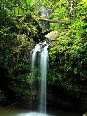 Tropical Double Falls