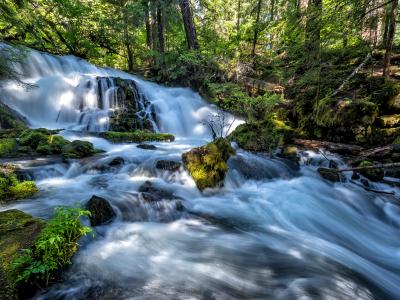 Pearsony Falls and Flowing Mill Creek