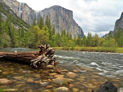 Yosemite Valley View