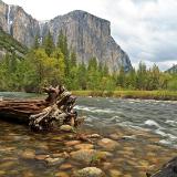 Yosemite Valley View