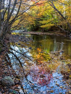 Little River Autumns Reflections