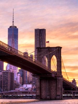 Brooklyn Bridge and Freedom Tower