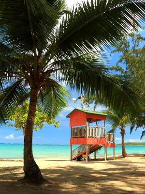 Tropical Lifeguard Hut