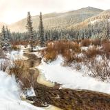 Spring Snow on Glacier Creek