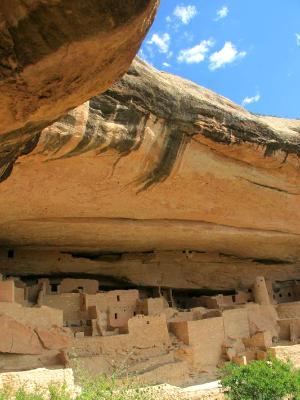 Cliff Palace Overhang