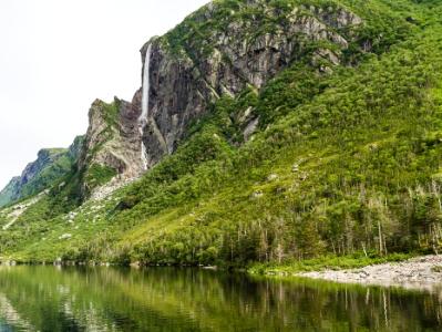 Western Brook Pond Forested Cliff