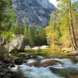 Tenaya Creek