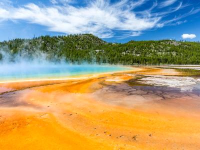 Prismatic Spring Swirls