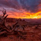 Grand Viewpoint Vivid Junpier Sunset