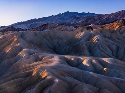 Purple Badland Majesty