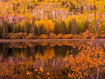 Warner Lake Autumn Twilight