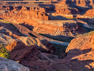 Dead Horse Point Juniper Ledge