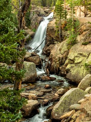 Alberta Falls and Glacier Creek