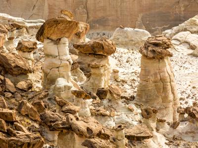 Rimrock Hoodoo Closeup