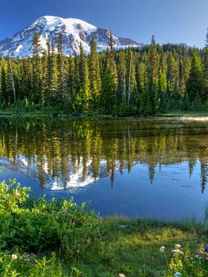 Spring at Reflection Lakes