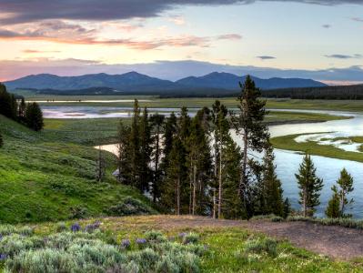 Hayden Valley Sunset Panorama (click for full width)