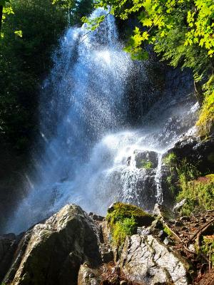 Beaver Meadow Falls Sun and Spray