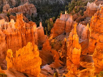 Sunrise Glow at Sunset Point