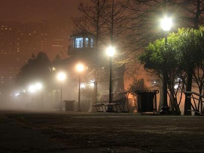 Fog on the Levee