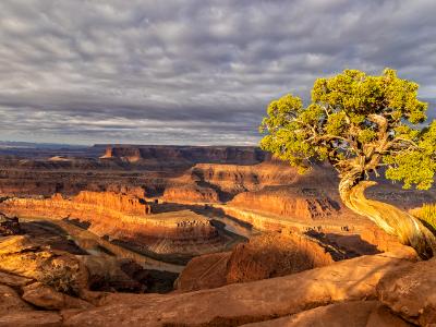 Dead Horse Point Dappled Sunlight