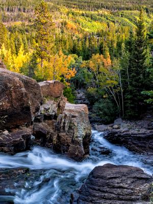 Glacier Creek Fall Color