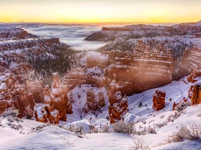 Pre-dawn Fog in Bryce Canyon