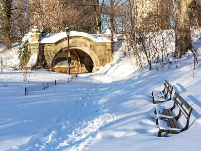 Prospect Park Benches in Snow