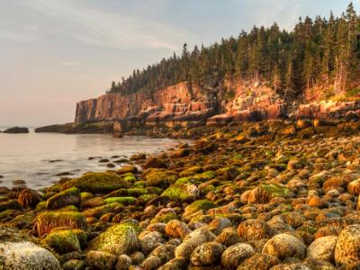 Mossy Boulders on Acadia Coast