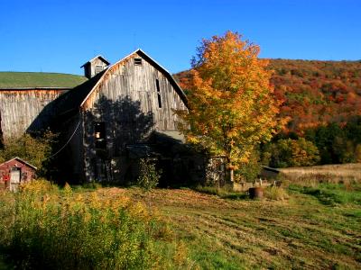 Barkaboom Barn