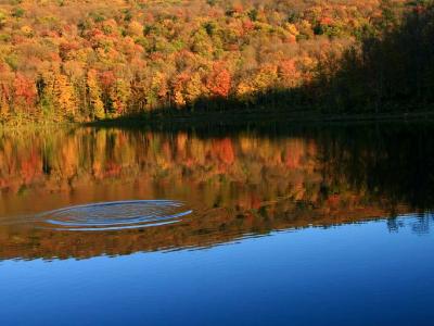 Autumn Reflections