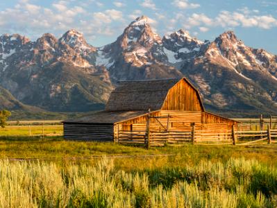 Mormon Row Sunrise Panorama (click for full width)