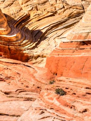 White Pocket Rock Striations