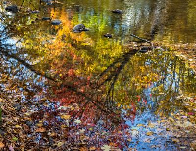 Colorful Autumn Collage