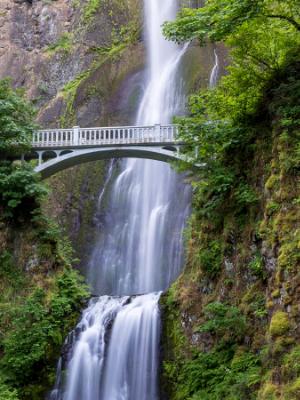 Silky Multnomah Falls & Footbridge