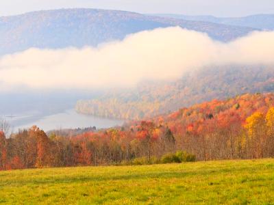 Reservoir Fog  