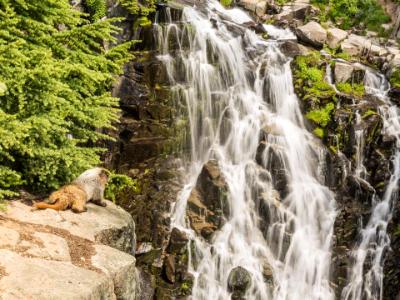 Marmot Falls