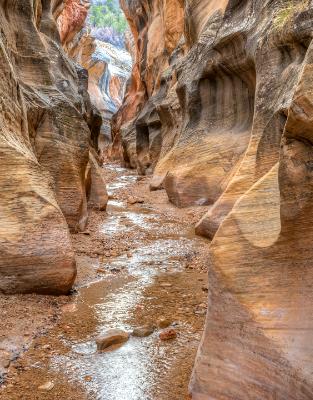 Willis Creek Canyon