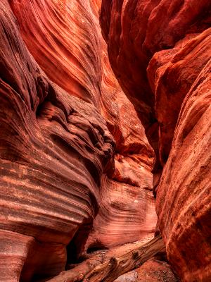 Red Canyon Driftwood Swirls