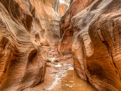 Willis Creek Slot Canyon