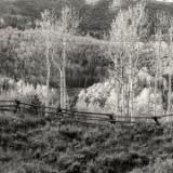 Aspen Ridge and Wooden Fence B&W