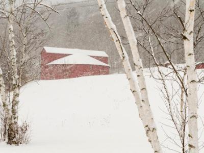 Winter's Day at the Round Barn