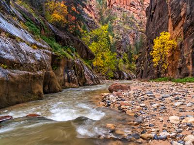 The Canyon Narrows