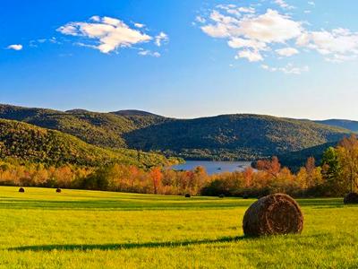 Pepacton Hay Field Panorama  (Click for full width)