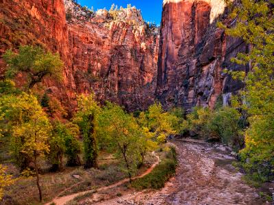 Zion Autumn Riverside Walk Overlook