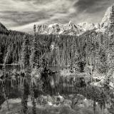 Fern Lake Black and White